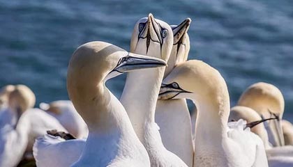 爱游戏体育（AYX）官方APP下载-青训基地揭幕：新设施助推联盟未来之星成长，青训中心是干嘛的